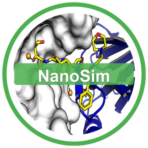 NanoSim Logo