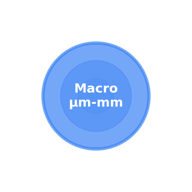 Macro scale icon