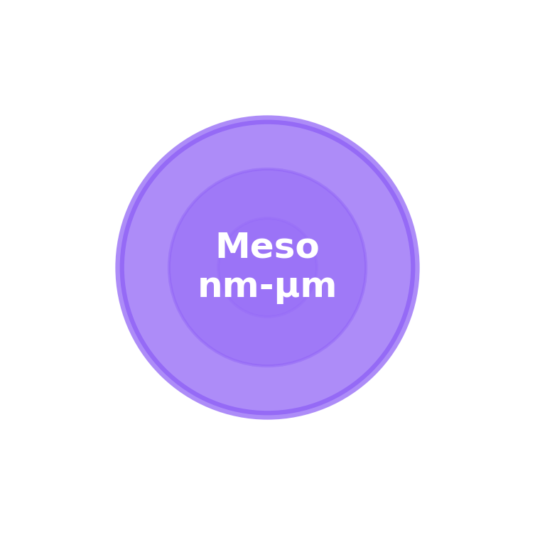 Meso scale icon