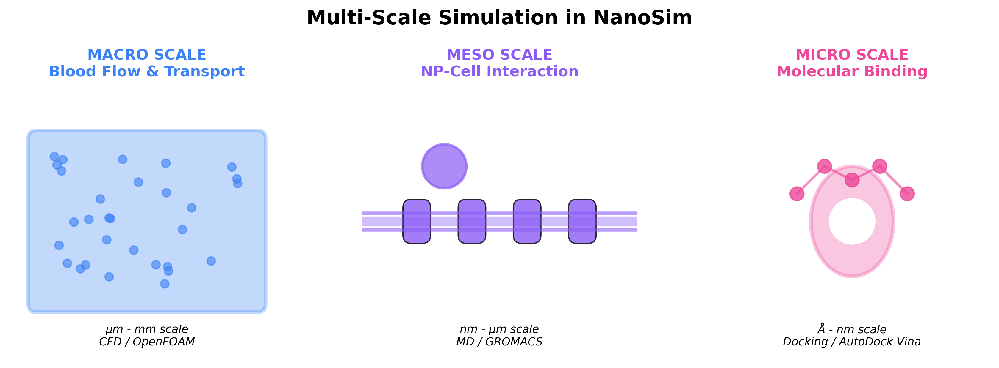 Comparison of macro, meso, and micro simulation scales in NanoSim