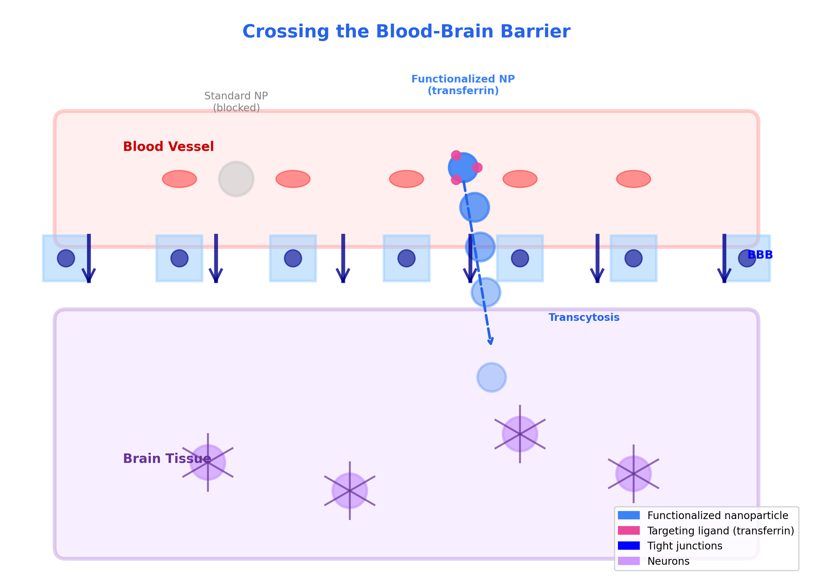 Nanoparticle crossing the blood-brain barrier